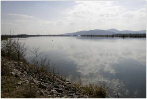 Pomladno brežiško jezero